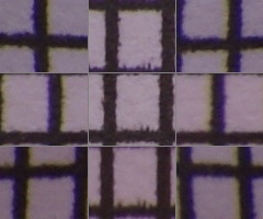 Sony Alpha A230: nejlevnější z nového trojlístku