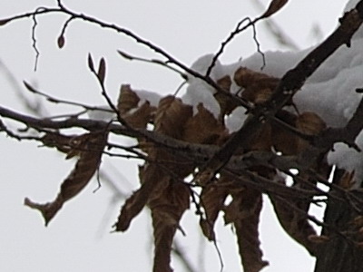 Dva objektivy nebo jeden ultrazoom?