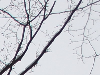 Dva objektivy nebo jeden ultrazoom?