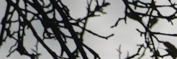 Panasonic Leica DG Vario-Elmarit 12-35mm / F2.8 ASPH. / Power O.I.S