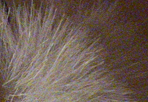 Canon PowerShot SX50 HS: překvapivá kombinace