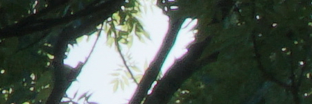 Sony E PZ 18-105mm F4 G OSS (SELP18105G)