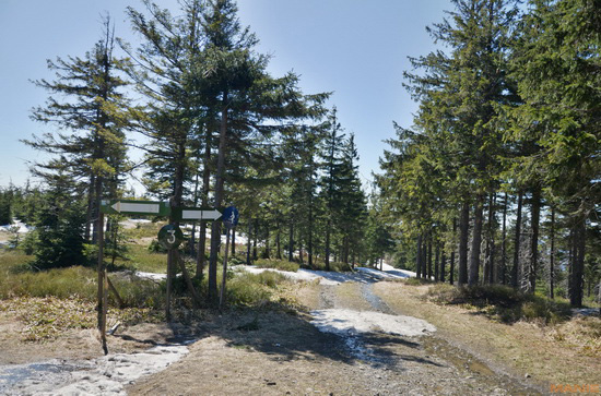 Nikon D5100: jeden z nejlepších?