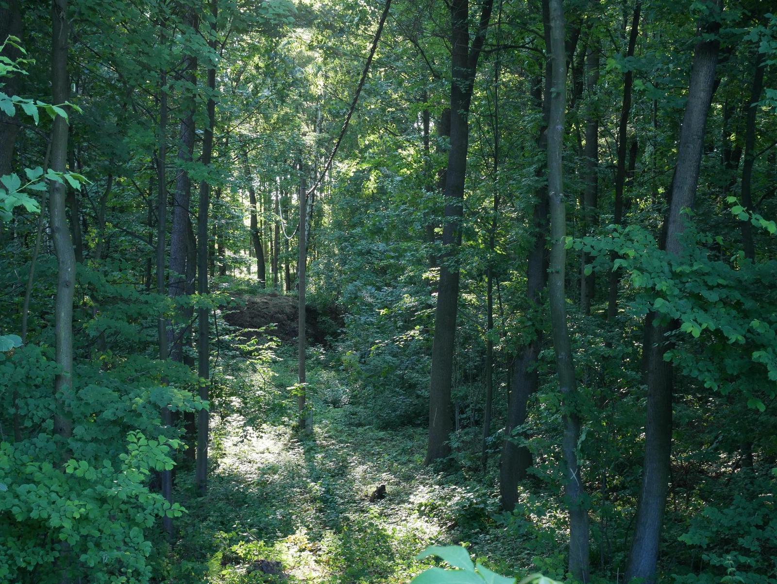 Panasonic Lumix GX80: ještě lepší, než jsme čekali