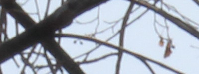 Megatest ultrazoomových objektivů