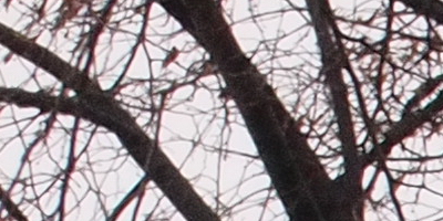 Olympus M.Zuiko Digital 14-42mm 1:3,5-5,6 II R