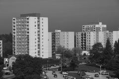 Canon EOS 550D: třídní premiant