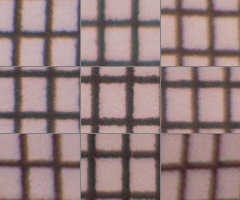 Panasonic Lumix LX7: kompaktní hvězda noci