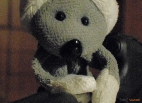 Fotíme s Koalou: Rozlišení a megapixely!