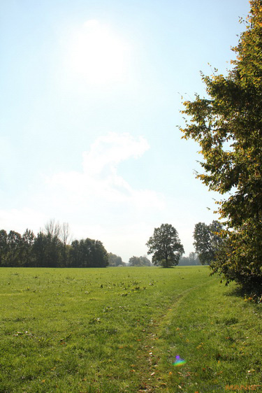 Canon EOS 550D: třídní premiant