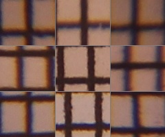 Canon EOS 550D: třídní premiant