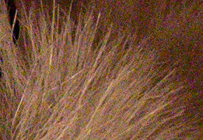 Canon EOS M: první pokus