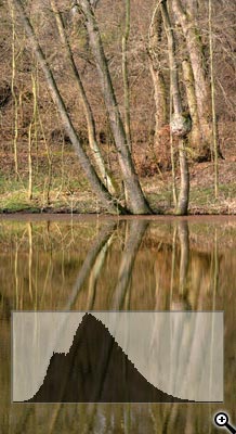 Tipy a Triky nejen pro začátečníky, díl 5. - Fotografujeme na jaře