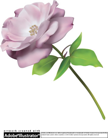 Formáty pro ukládání fotografií - 10.díl: Vektory