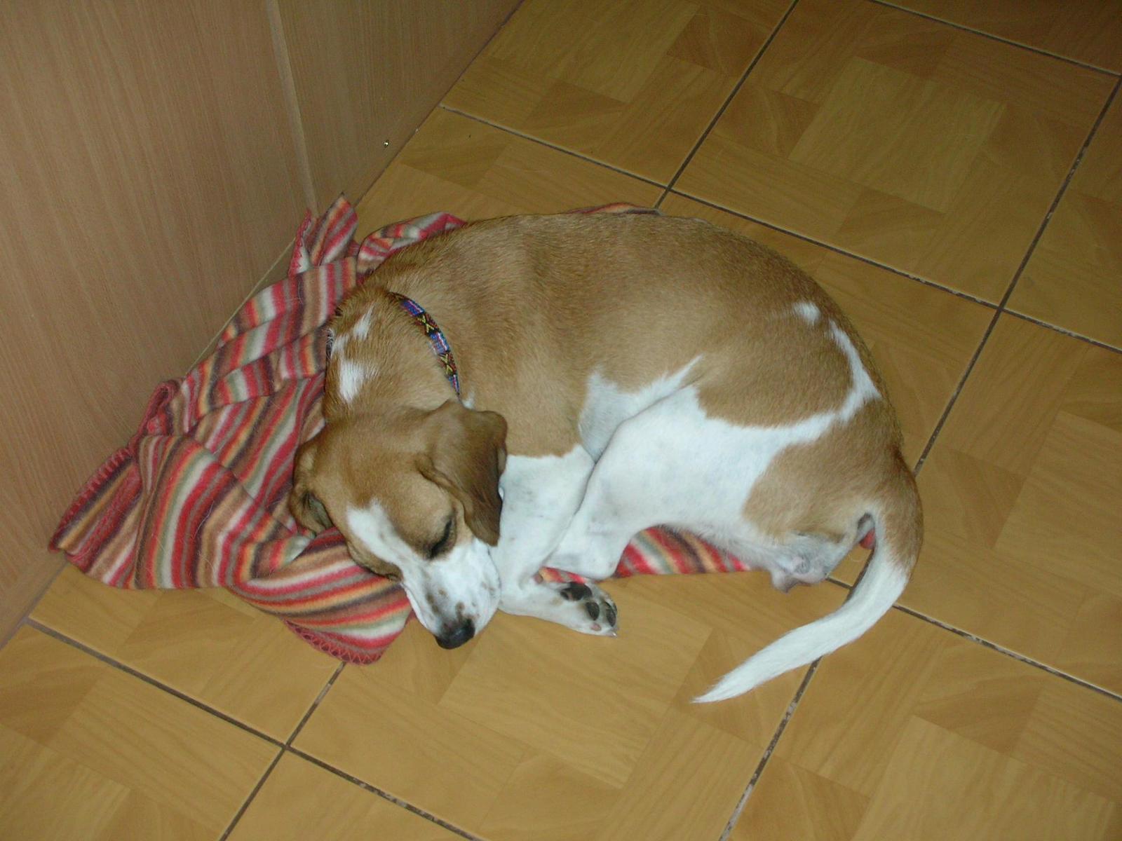 Coolpix S3: Malý tenký černý automat