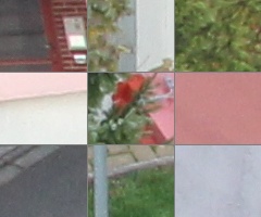 Canon EOS 550D: třídní premiant