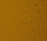 Lumix LZ2: stabilizovaná miniatura