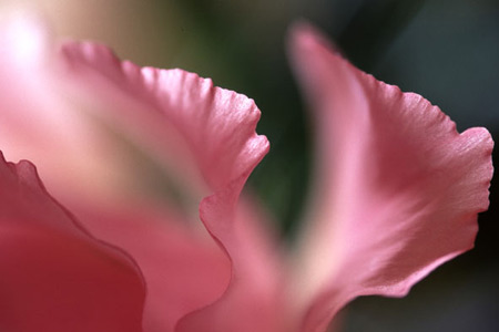 Výstava Jany Vaňourkové v brněnské Olympii