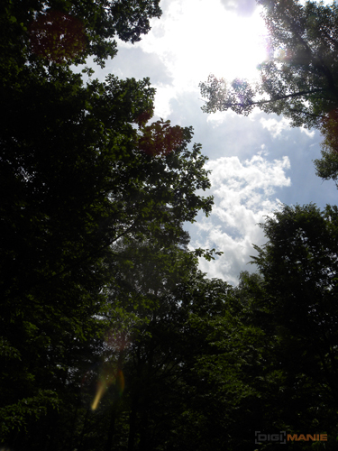 Nikon Coolpix P90: napodruhé mnohem lépe