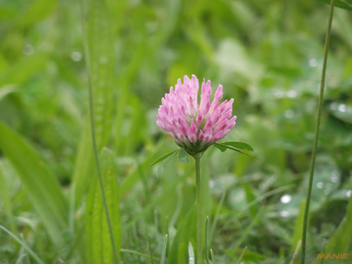 Starý vs. nový aneb megapixely k ničemu?