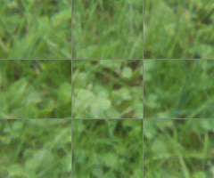 Panasonic Lumix G Vario 100-300mm F4-5,6