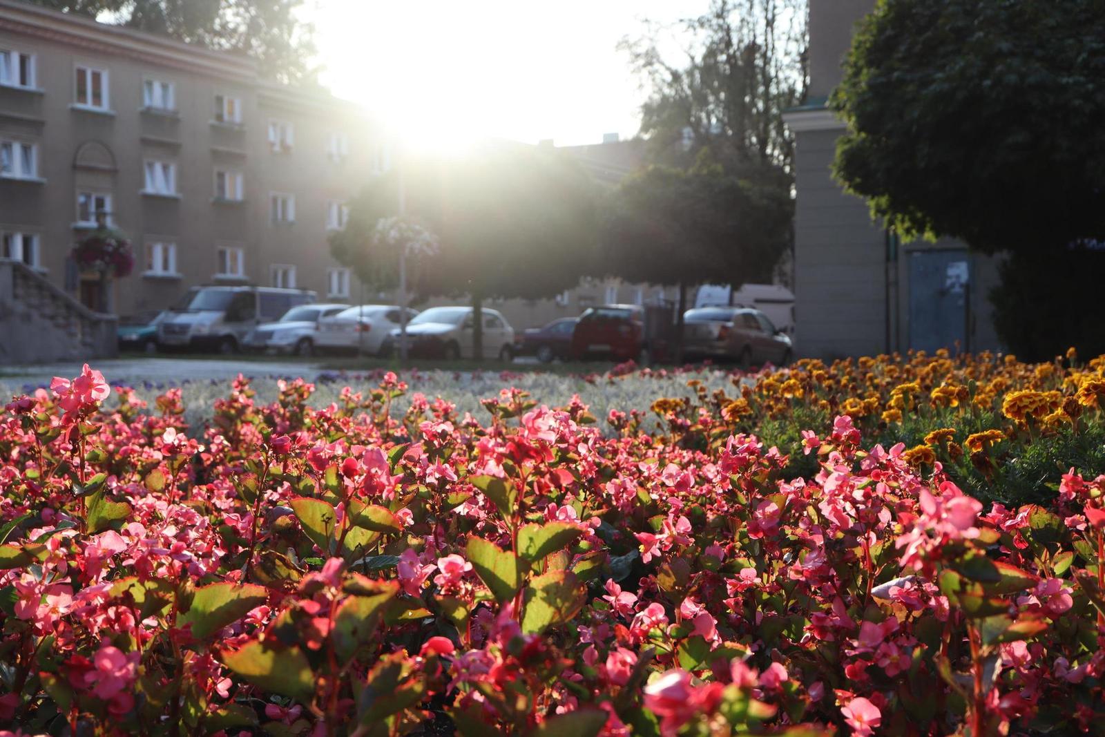 Canon EF-M 28mm f/3.5 Macro IS STM