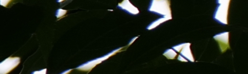 Panasonic Lumix S Pro 70-200mm F4 O.I.S.