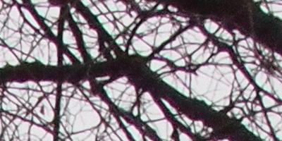 Olympus M.Zuiko Digital 14-42mm 1:3,5-5,6 II R