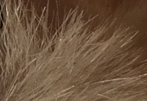 Samsung NX300: spousta kroků vpřed, jeden vzad