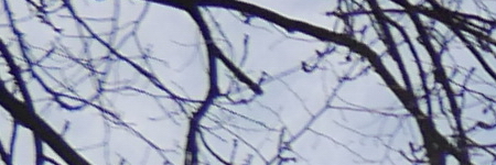 Panasonic Lumix LX100: pozoruhodný profi kompakt