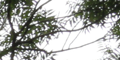 Canon EF-S 18-55mm F3,5-5,6 IS STM