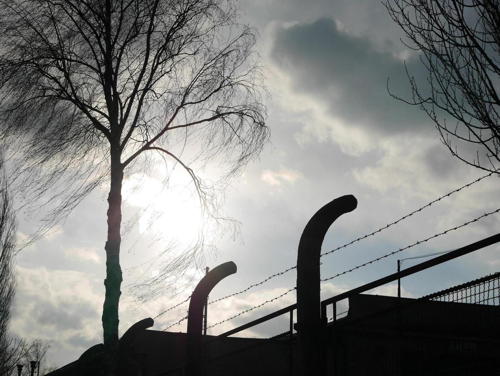 Panasonic Lumix G Vario 35-100mm F4-5.6 MEGA O.I.S.