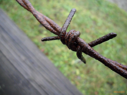 Samsung ST550: jedno LCD nestačí