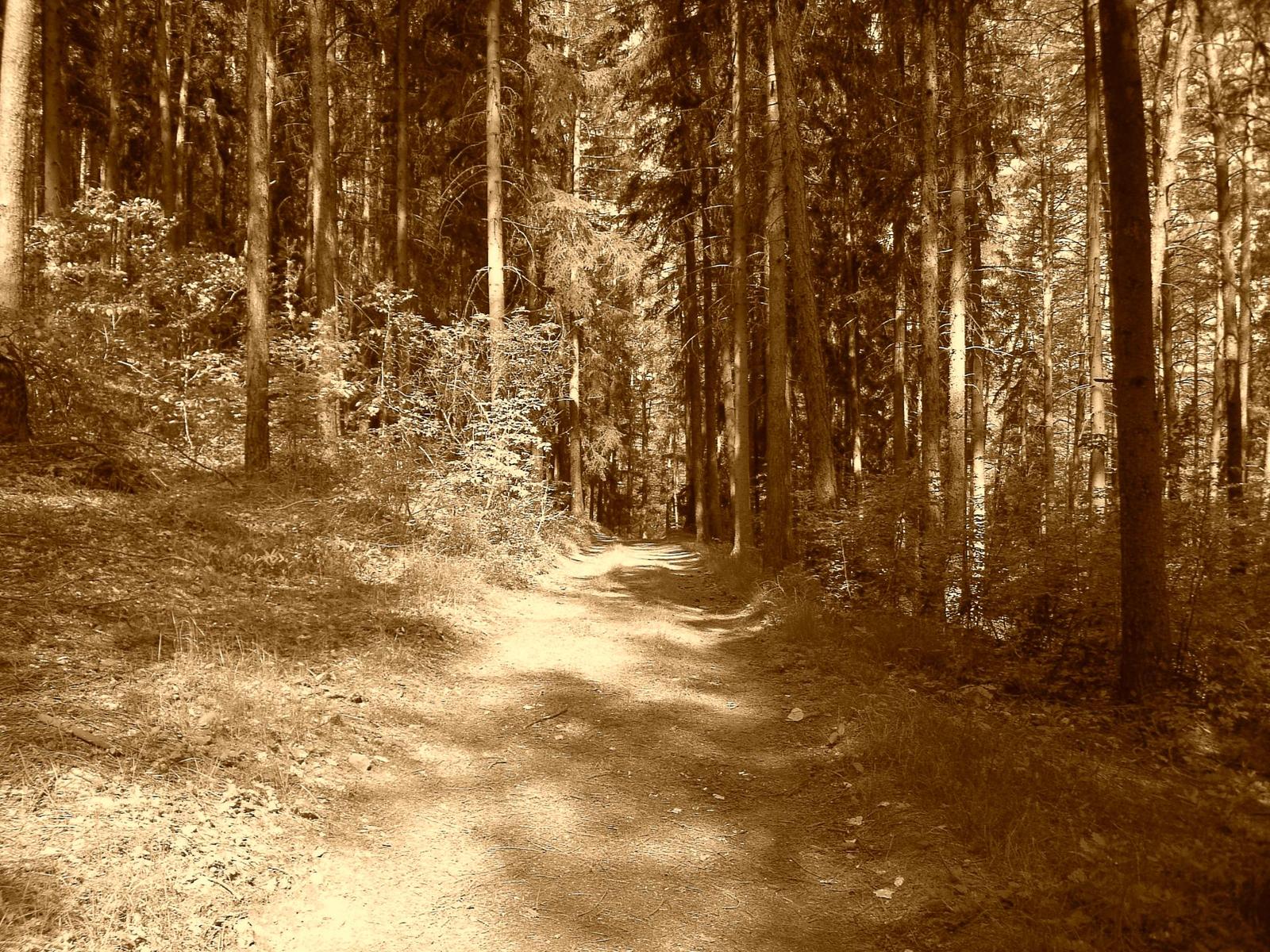 Konica Minolta Dimage E50 - pro každého něco...