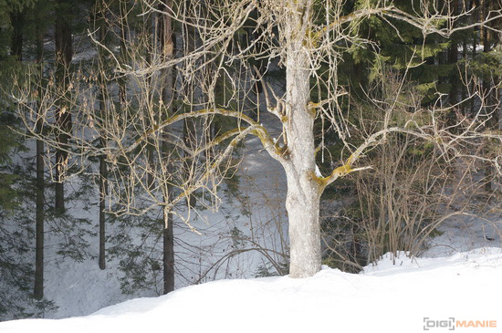 Sony NEX-6: pan dlouho očekávaný