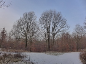 Panasonic Lumix LX7: kompaktní hvězda noci