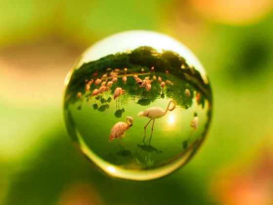 Zenjix Soratama 72: lensball jako filtr na objektiv