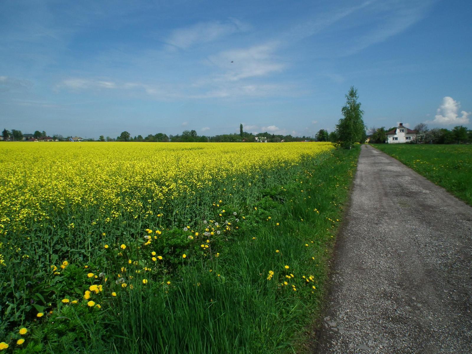 Fujifilm FinePix HS10: ultrazoom roku?