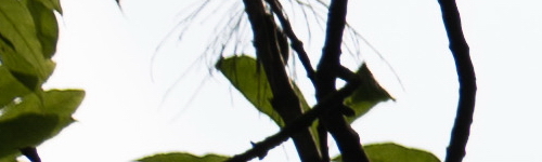 Panasonic Lumix S Pro 70-200mm F4 O.I.S.