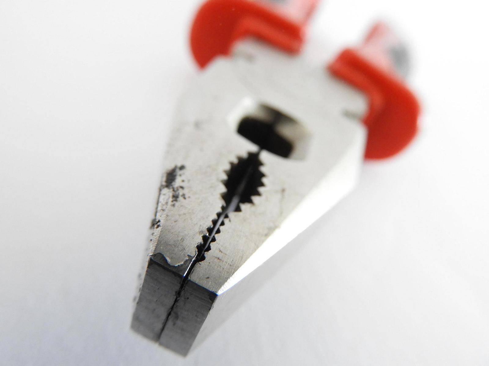 Nikon Coolpix B700: přírodovědec