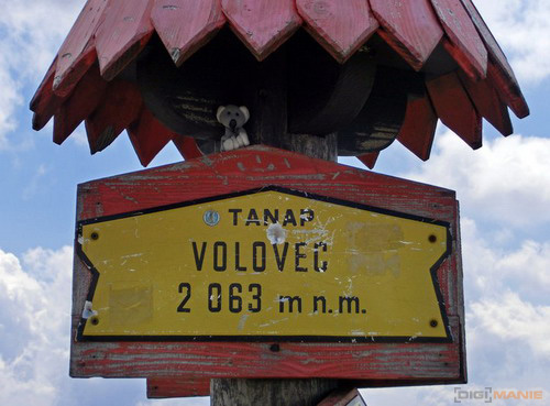 Fotíme s Koalou: Makro a telemakro