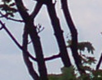 Mju 700: Neortodoxní mjučko