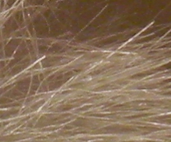 Nikon Coolpix S1100pj: kino v kompaktu