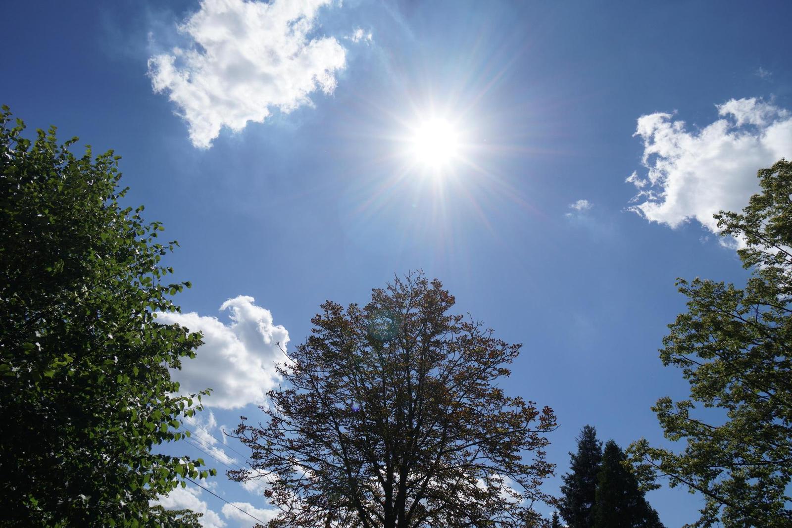 Sony Carl Zeiss Vario-Tessar T* 16-70mm F4 OSS (SEL1670Z)