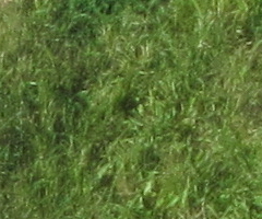 Canon IXUS 300 HS: superstylovka i pro náročné