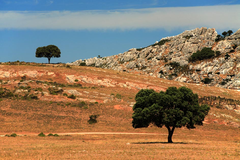 Cesta ke kvalitní fotografii: 4.díl