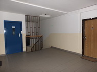 Fujifilm X-S1: jedinečný