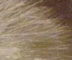 Nikon Coolpix P90: napodruhé mnohem lépe