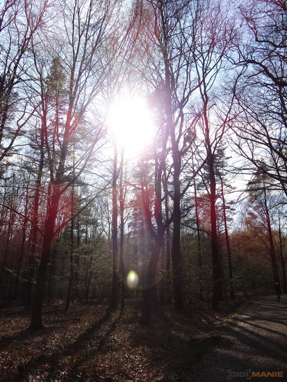 Sony Cyber-shot HX20V: umí snad všechno