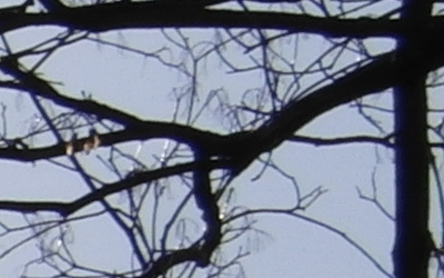 Samsung 18-200mm F3.5-6.3 ED OIS